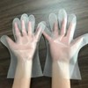  CPE Gloves