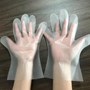  CPE Gloves